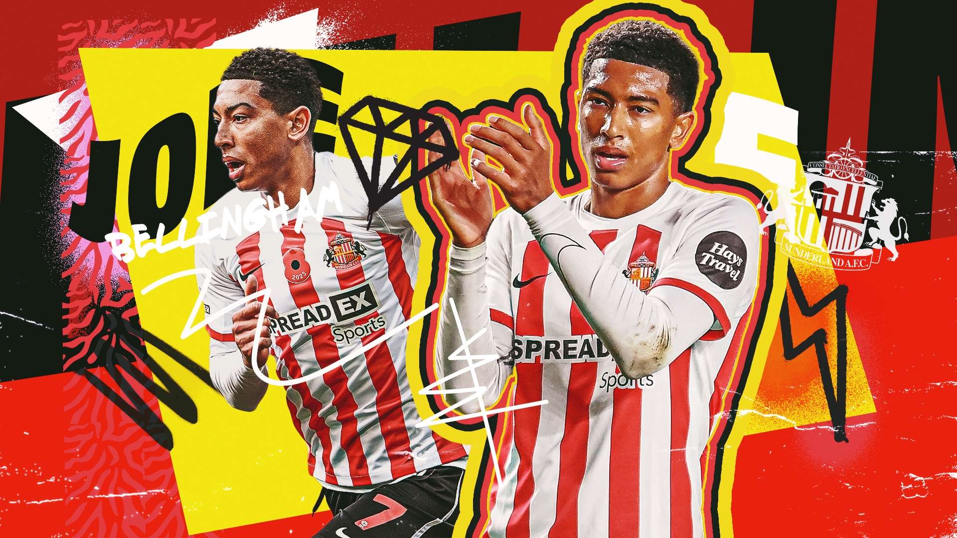 有广阔的发 有广阔的发