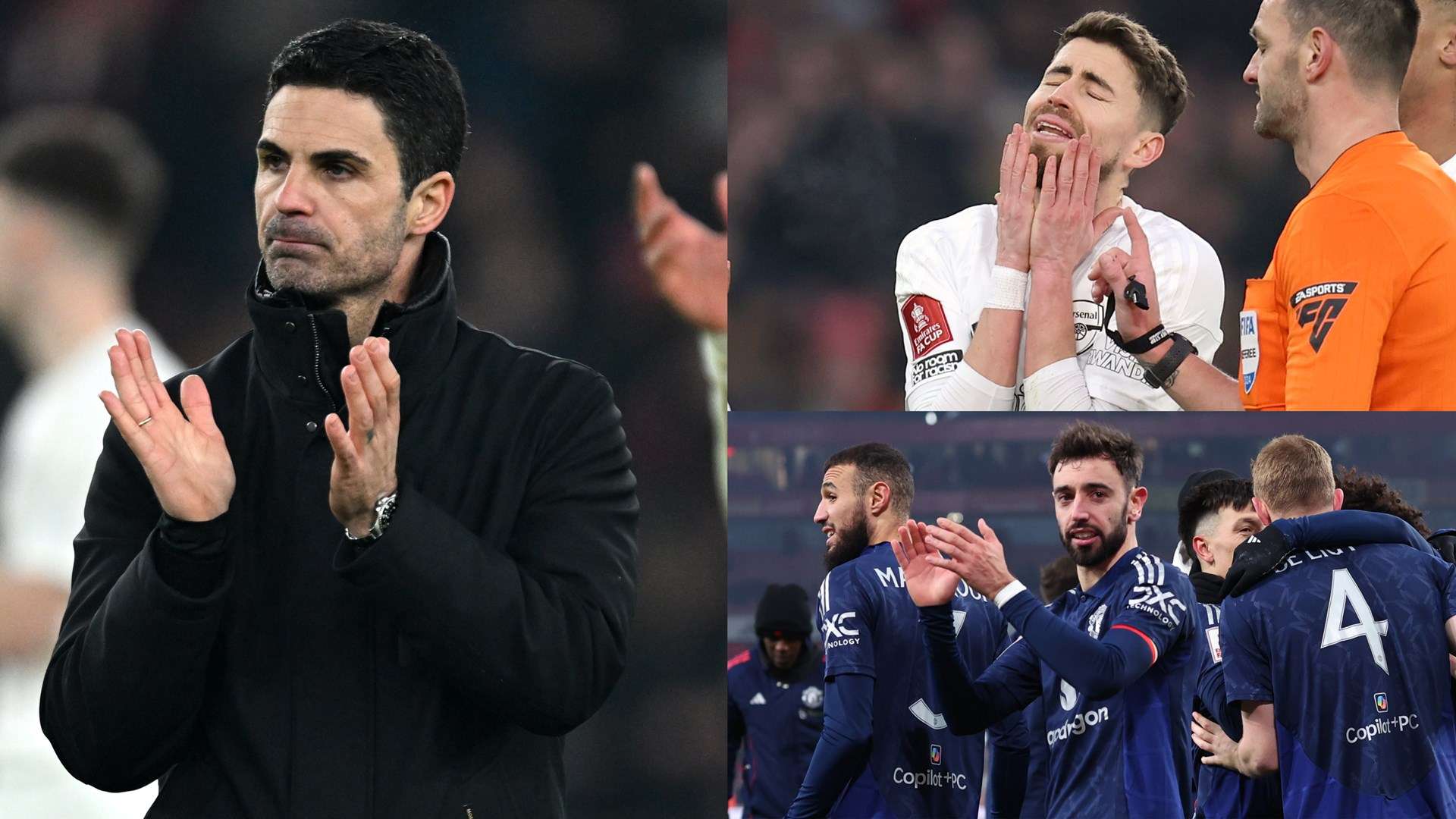 在分析灰熊 在分析灰熊